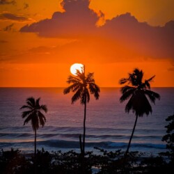 Isla Del Encanto - Vacation Rental Homes in Rincon - El Rincóncito