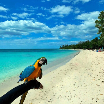 Isla Del Encanto - Vacation Rental Homes in Cabo Rojo - Brisas del Mar