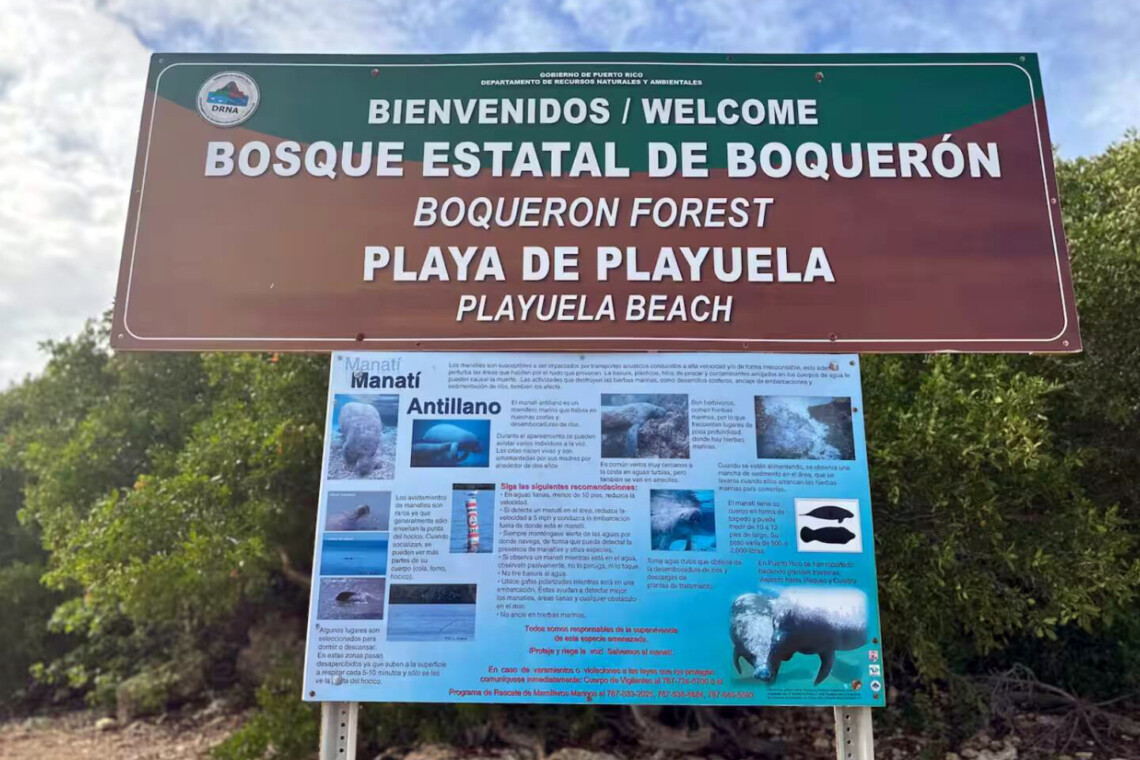 Isla Del Encanto - Vacation Rental Homes in Cabo Rojo - Brisas del Mar