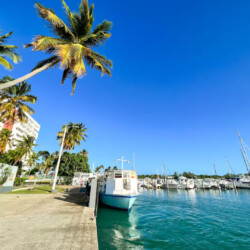 Isla Del Encanto - Vacation Rental Homes in Fajardo - The Oasis