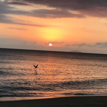 Isla Del Encanto - Vacation Rental Homes in Rincon - El Rincóncito